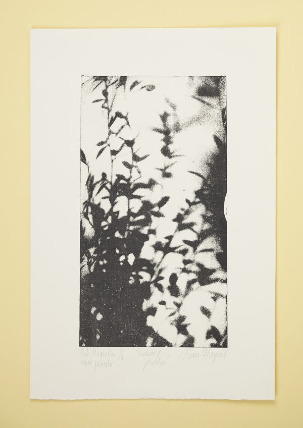 Fotolitografía “Sombras y plantas” 1 - Nina Haynal.